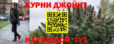 молекула духа Гай