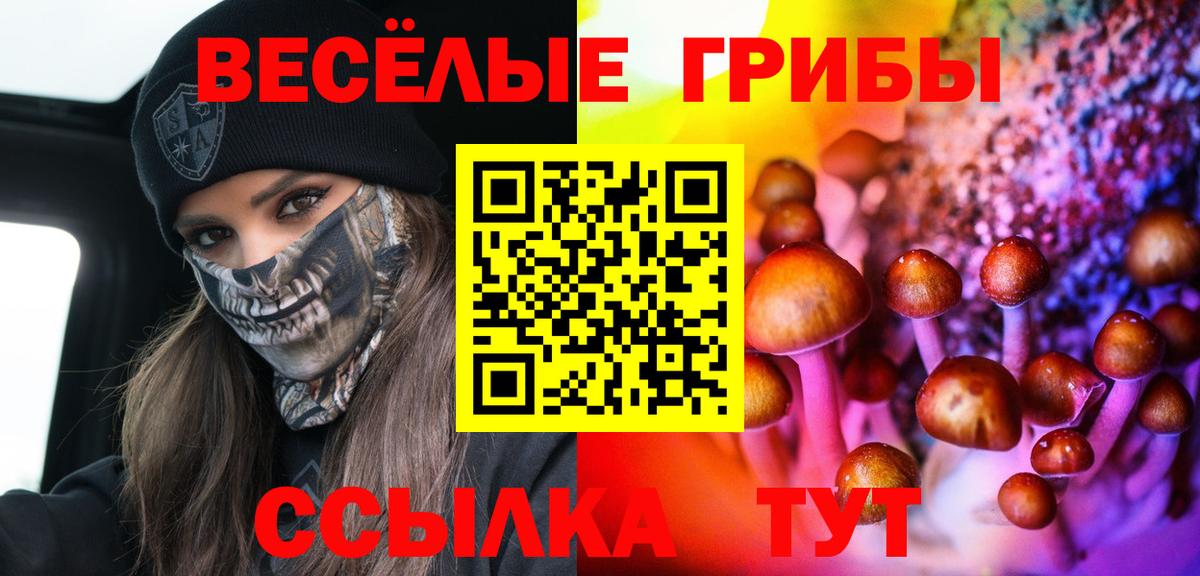 Псилоцибиновые грибы GOLDEN TEACHER  Вход с VPN  Междуреченск 